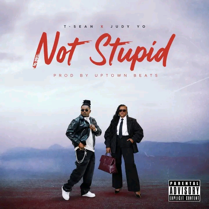 Not Stupid